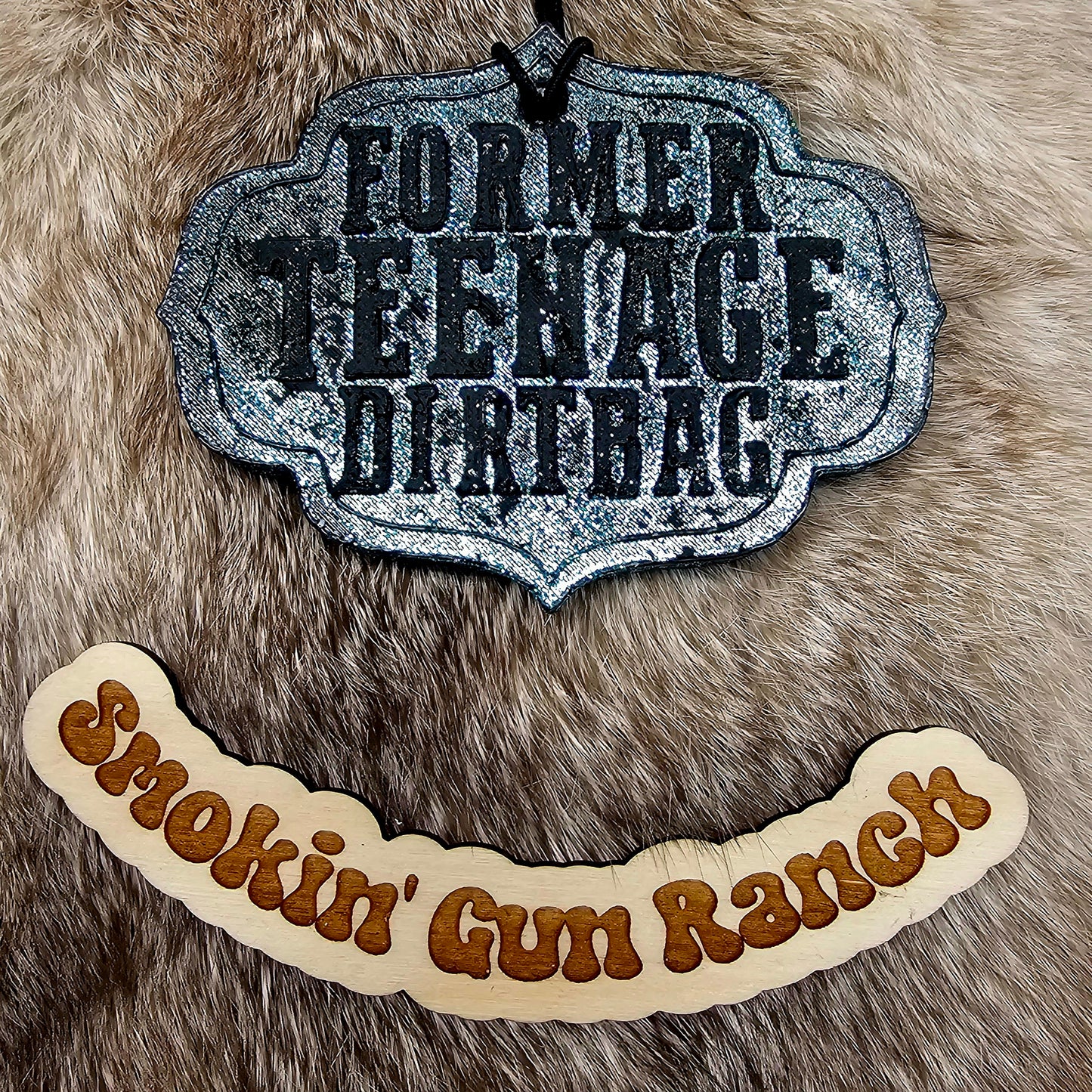 Former Teenage Dirtbag Freshie