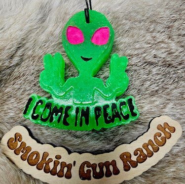 Alien I Come In Peace Freshie