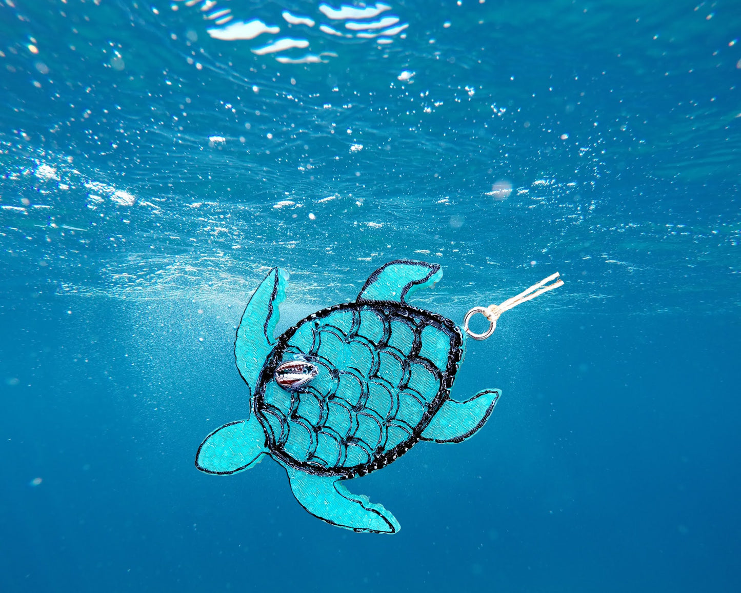 Turtle Freshie