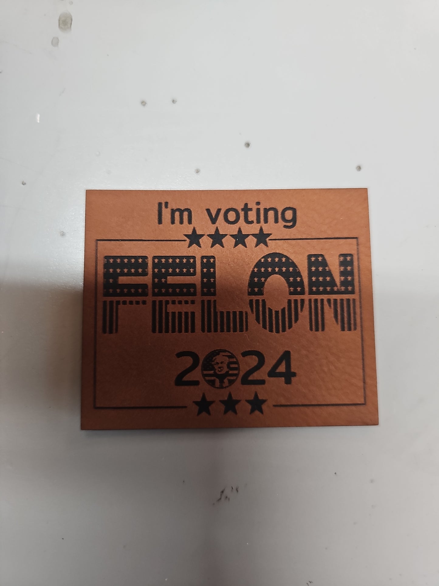 Voting for a Felon hatsl