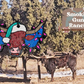 Christmas Long Horn Freshie