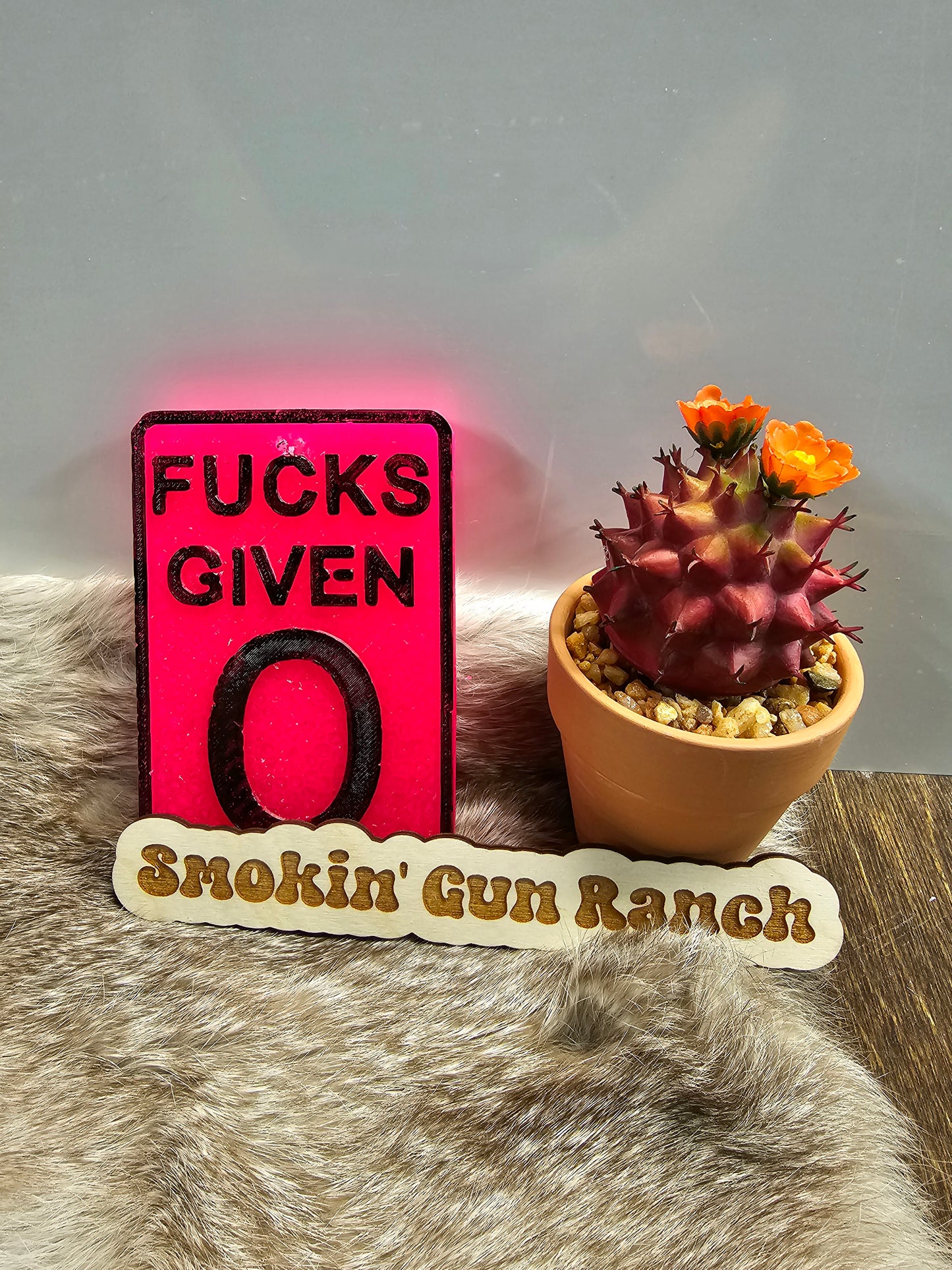 Fu@#$ Given Freshie