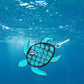Turtle Freshie